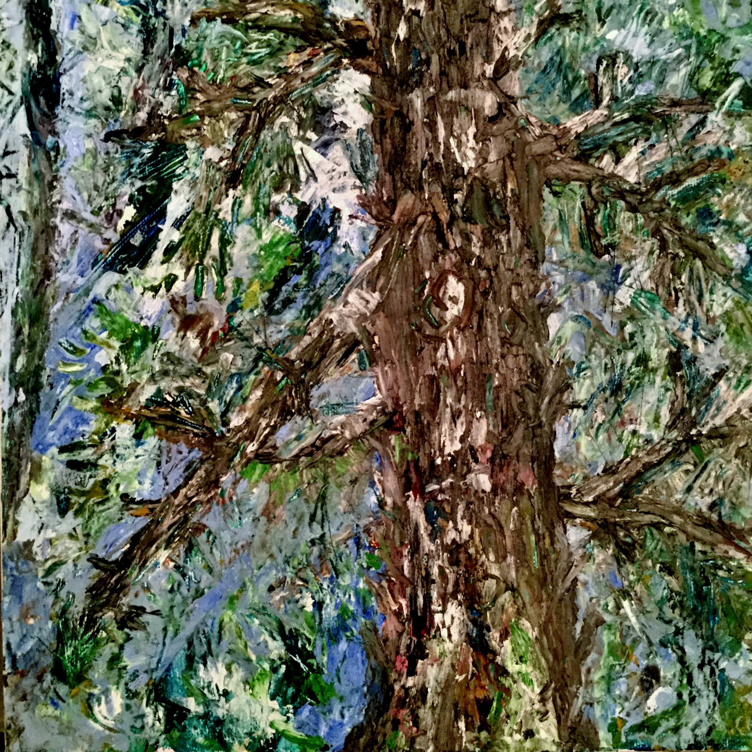 Forest Light and Atmosphere 10x10 Oil Janice Rafael Art.jpg